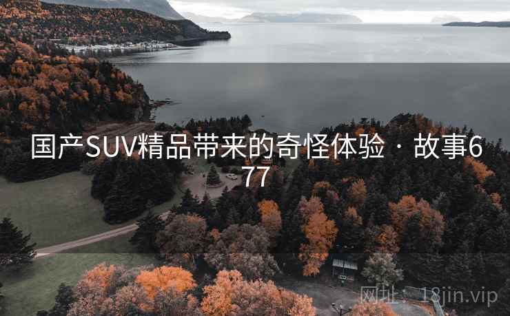 国产SUV精品带来的奇怪体验 · 故事677